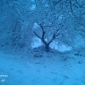 “Footprints EP (2013)”的封面