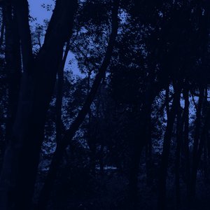Thramour 的头像