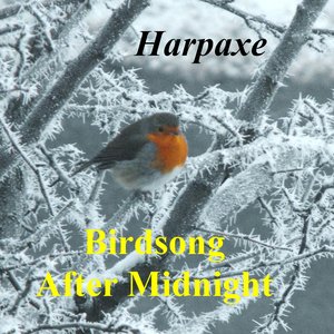 Birdsong After Midnight