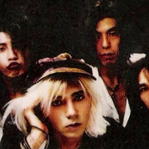 THE VELVET FLOWER 的头像