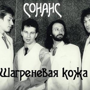 Шагреневая кожа