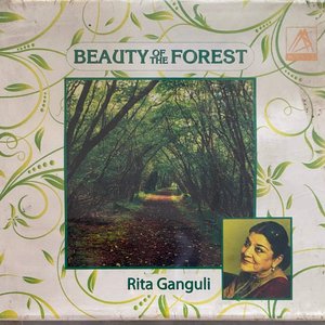 Beauty of the Forest