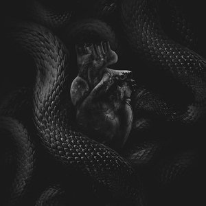 Heart Of A Snake EP