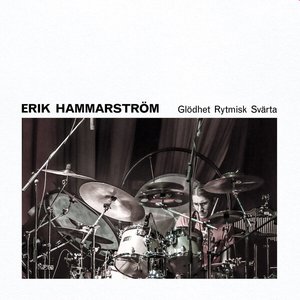 Avatar for Erik Hammarström