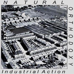 Industrial Action