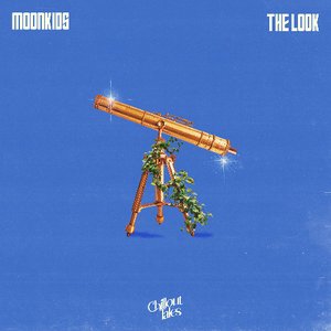 The Look