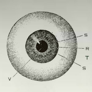VSTRS