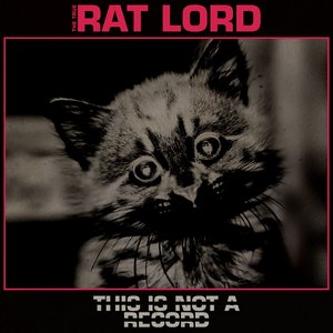 Blazed in the Northern Sky / This is Not a Record