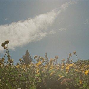 Let You Go - Single