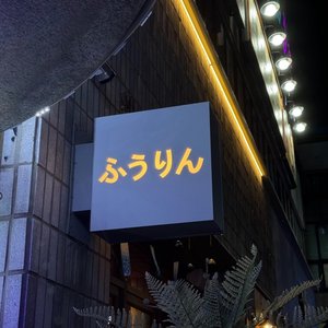 Shelter - Single