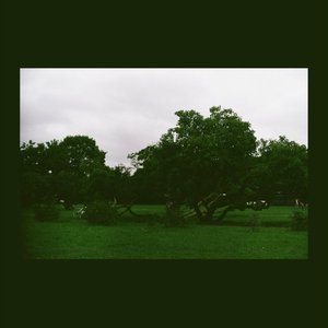 Grass and Echoes