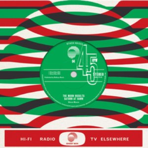 Other Voices 08 - Single