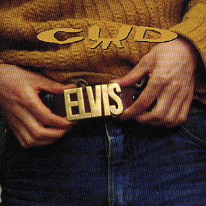 Elvis Belt / Elvis Handbag cover