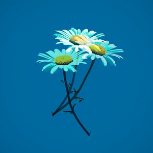 Country Feedback