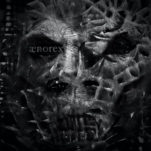 ænorex 的头像