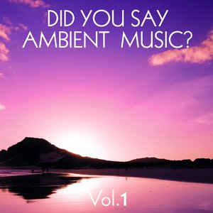 Did You Say Ambient Music?, Vol. 1