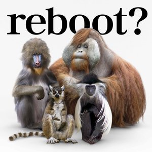 reboot～あきらめない詩～/流れ星