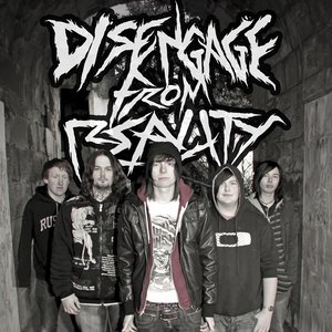 Avatar for Disengage From Reality
