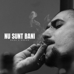 Nu sunt bani (feat. Dakon & Johnny Dev) - Single