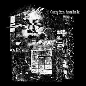 Counting Sheep / Funeral for Rats