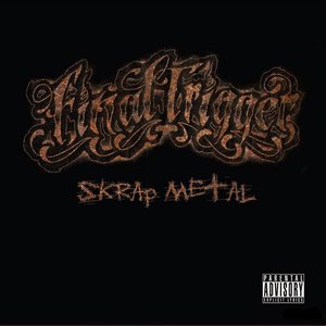 Skrap Metal