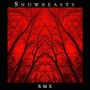 Rmx