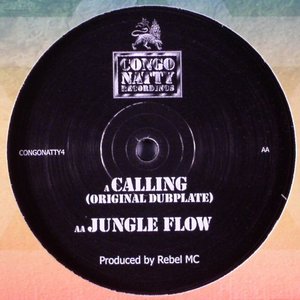 The Calling / Jungle Flow