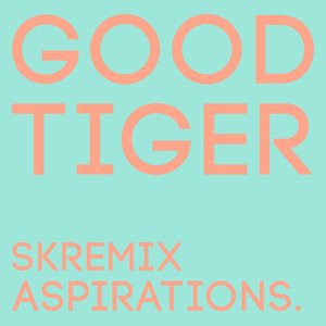 Aspirations (Skremix)