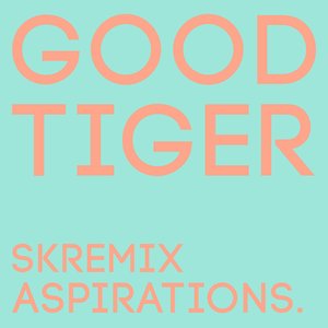 Aspirations (Skremix)