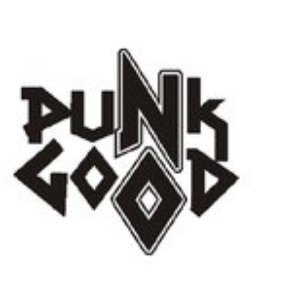 “Punk No Good”的封面