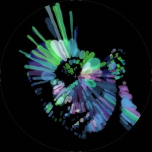 Autobahn / Bass Line Vision