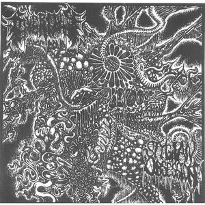 Heralds of Affliction