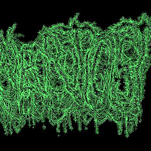 “Necroticist”的封面