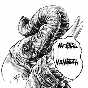 Image for 'Vaginal Mammoth'