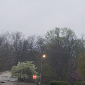 The Midwest Is No Place to Die