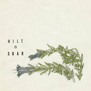 wilt