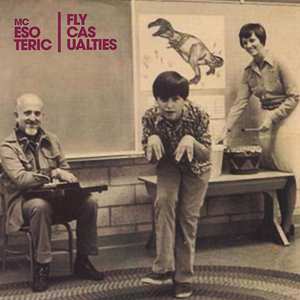Fly Casualties cover