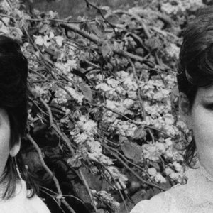 Grupul Stereo için avatar