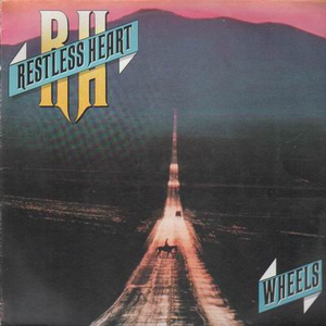Wheels cover