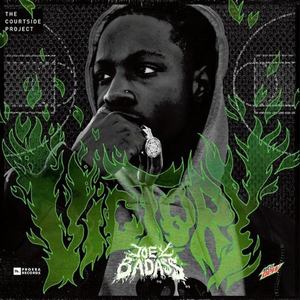 Joey Bada$$ - Victory - Zortam Music