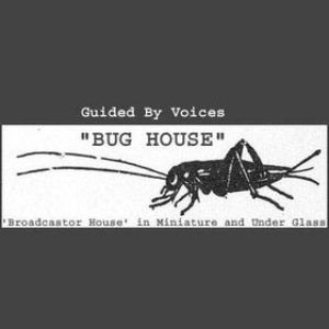 Bug House: 'Broadcastor House' In Miniature And Under Glass