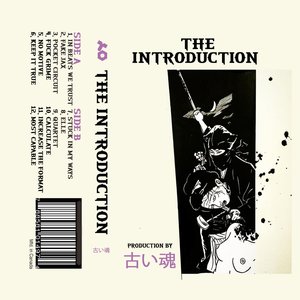 The Introduction