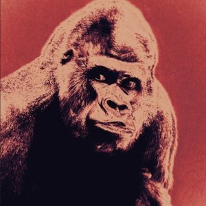 Pure Kafka [Explicit]