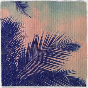 The Lost Variables