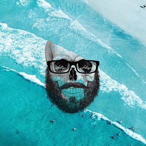 Bearded Skull 的头像
