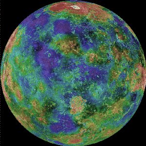 Venus Fly 的头像