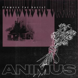 Animus