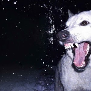 Avatar for justavoid.