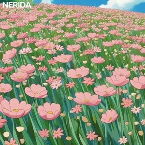 Daisies