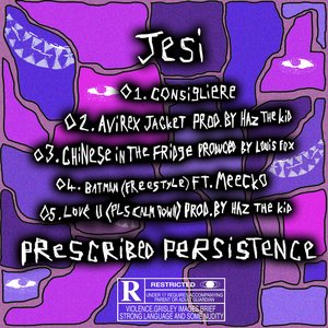 “Prescribed Persistence”的封面